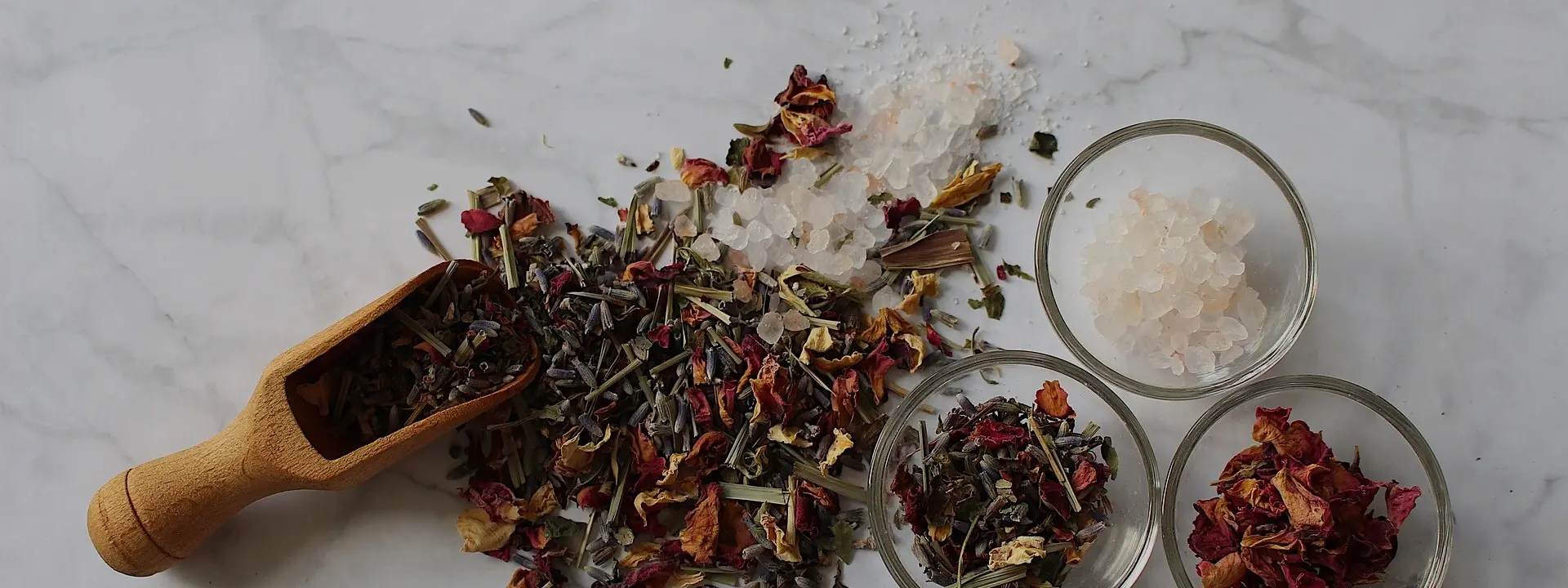 naturopathes en ligne - undefined