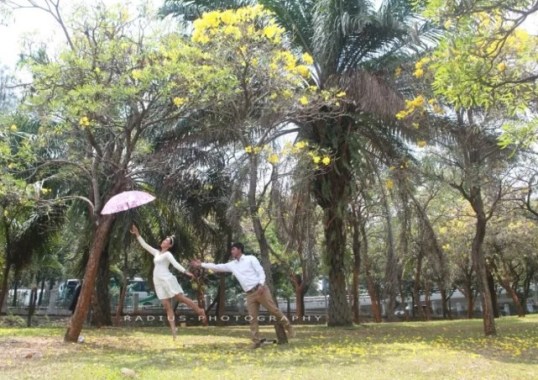 Radius Photography