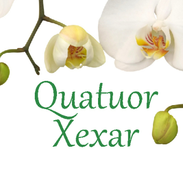 Quatuor Xexar