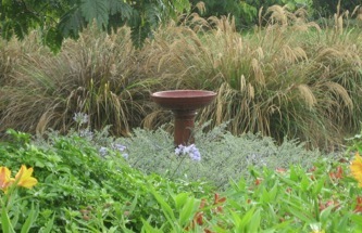 Greenscene Landscaping Ltd