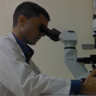 Clases particulares Biología.