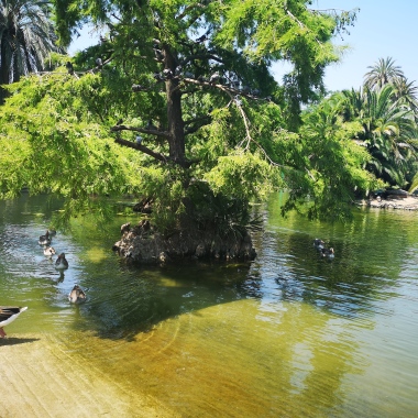 Terapeuta