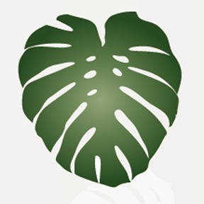 MONSTERA  Landscape Architects