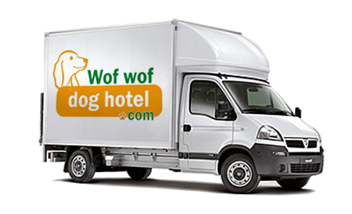 Wof Wof Dog Hotel