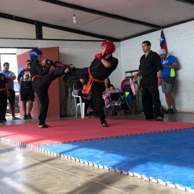 Actividad Física y Artes marciales