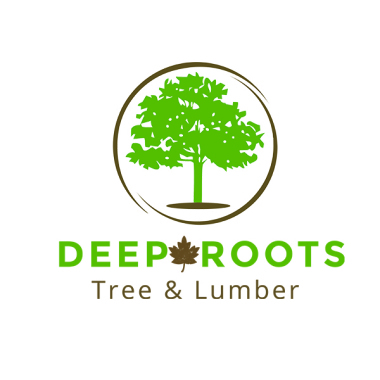Deep Roots - Tree & Lumber