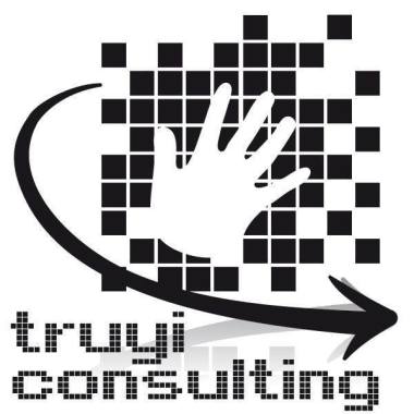 TRUYI CONSULTIG SL