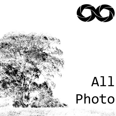 AllPhoto