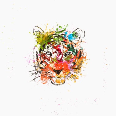 One Tiger Media