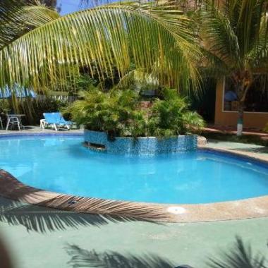Dede Manutenção e limpeza de piscinas