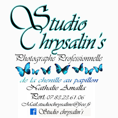 STUDIO CHRYSALIN'S
