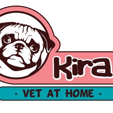Kira vet at home