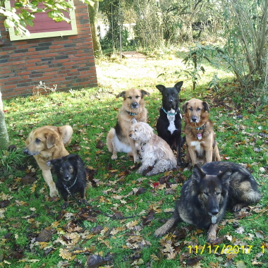 Hundeschule Lechtenfeld
