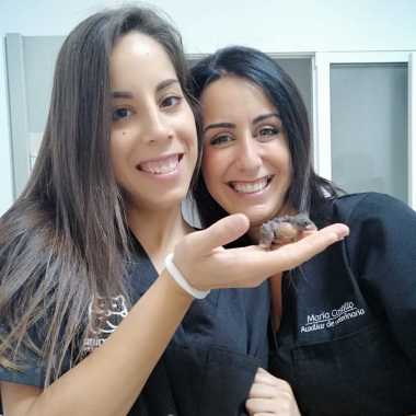 Animal24