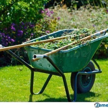 Entretien de jardin