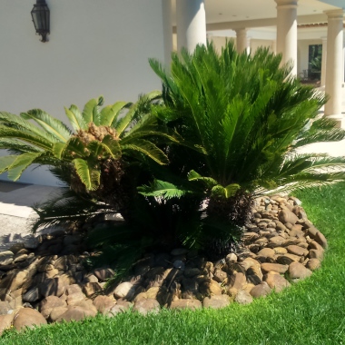 S.D.S Espaces Verts