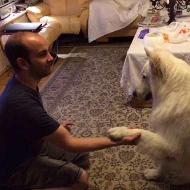 Guillaume promeneur de chien 