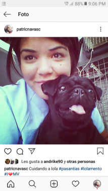 Patricia Navas Medico Veterinario