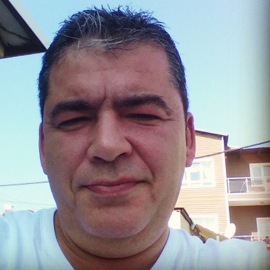 Körfez veteriner kliniği