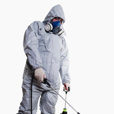 Insekt  Clean