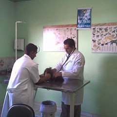 Clínica Veterinária Zoocenter