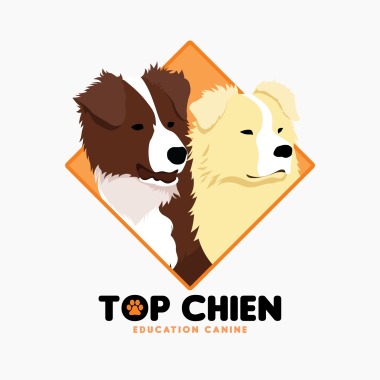TOP CHIEN