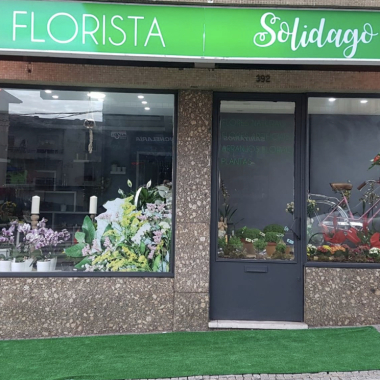 Florista Solidago
