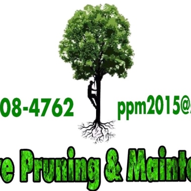 Positive Pruning and Maintenance
