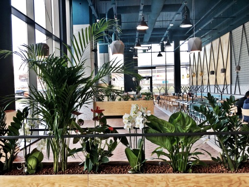 Babylon Garden S.R.L.