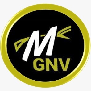 Multiservicios GNV