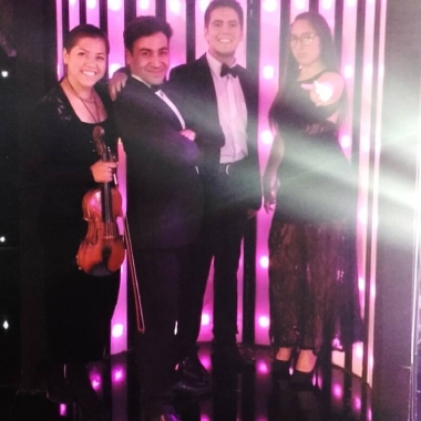 Profesor de violín y viola