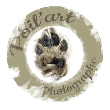 Poil'Art