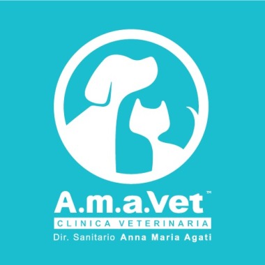 Clinica Veterinaria A.M.A.VET