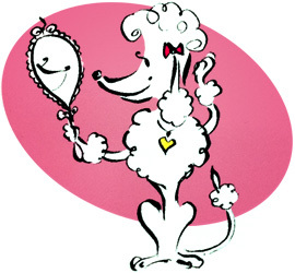 Shampoodles dog grooming Newry
