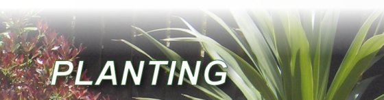 Paul Ashford Landscaping