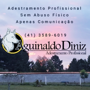 Adestramento Profissional com Aguinaldo Diniz
