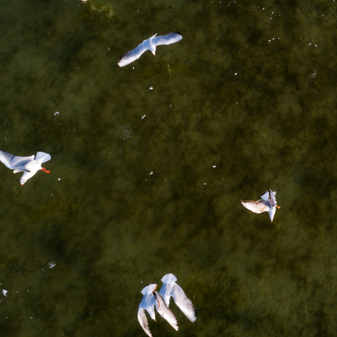 Bbdronefoto