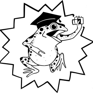 Frog Fotobox