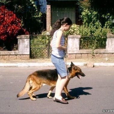 "Adestramento Nosso Pet Nosso Filho"