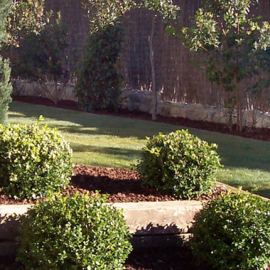 Jardineria Lorazalai Lorazaintza
