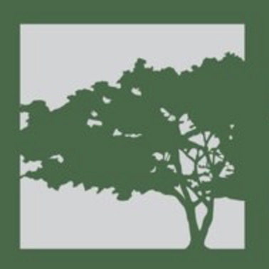 Muskoka Tree Solutions Inc.