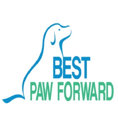 Best Paw Forward
