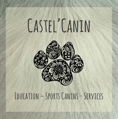 Castel'Canin