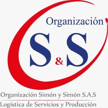 Organizacion SYS