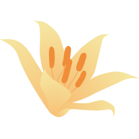 Lyscom