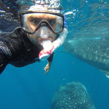 Bastian diving