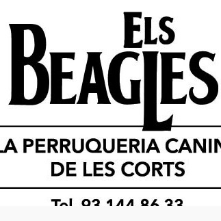 Els Beagles