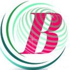 Bhipra Software Solution pvt ltd