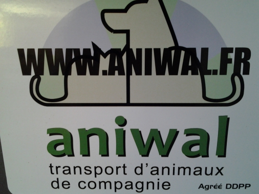 Aniwal