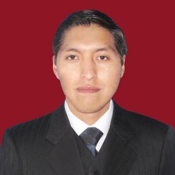 Ronald Nina Desarrollador de Sistemas web